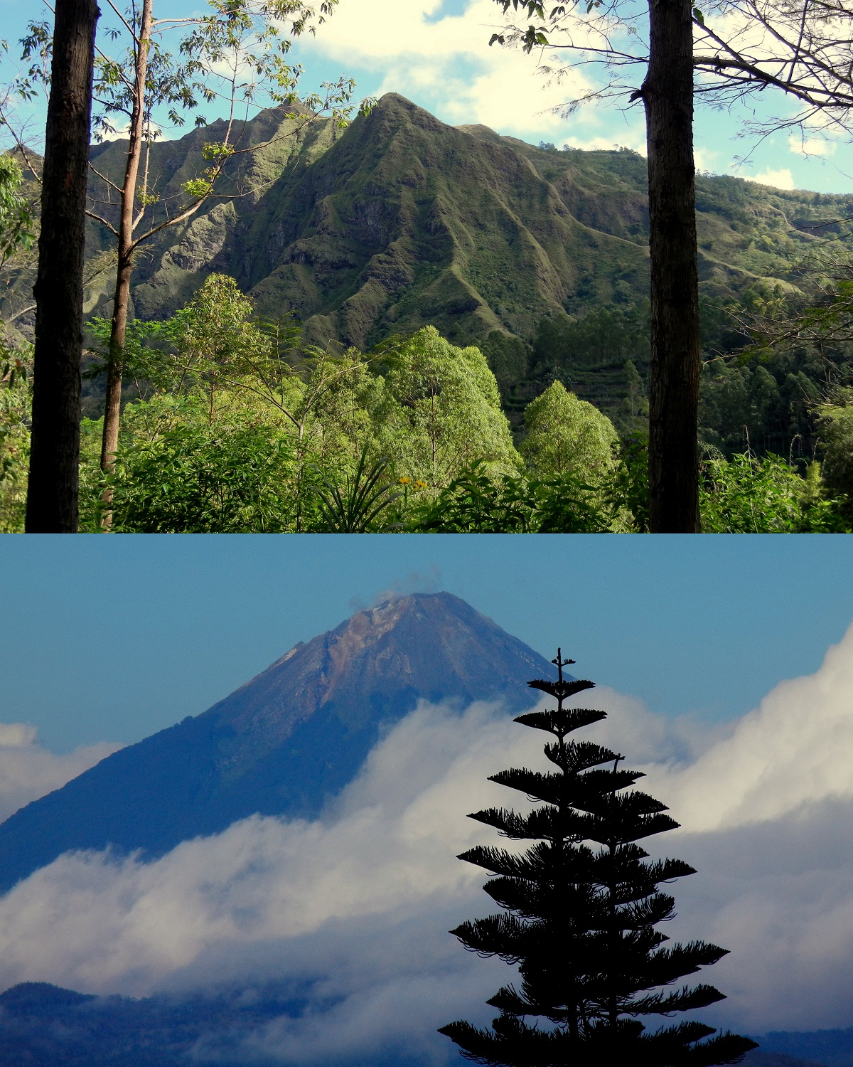 Indonésie - ostrov Flores